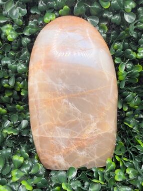 Flashy Peach Moonstone Free Form